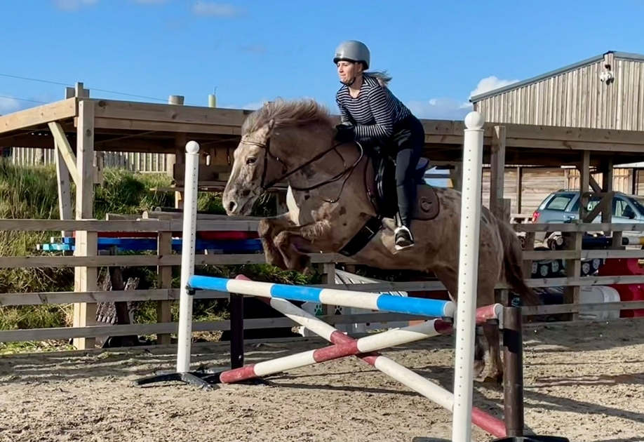 Fig show jumping clinic
